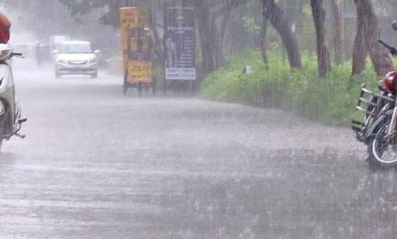 छत्तीसगढ़ में मॉनसून मेहरबान: अब तक 595.2 मिमी औसत बारिश दर्ज