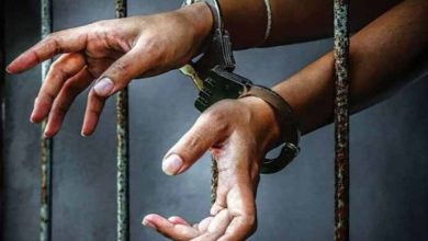 गांजा तस्करी करते महिला समेत तीन गिरफ्तार , कोर्ट ने सुनाई 5-5 साल की सजा