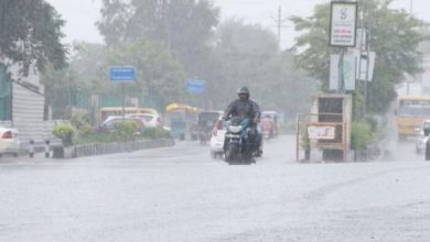 MP में बारिश का स्ट्रॉन्ग सिस्टम एक्टिव, सुबह से भोपाल में बारिश जारी, ग्वालियर में स्कूलों में अवकाश घोषित