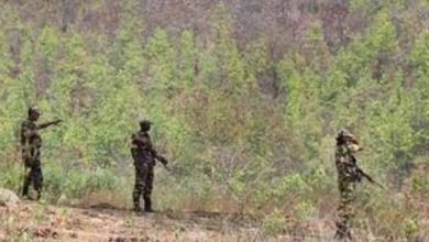 छत्तीसगढ़ के सुकमा से 05 लाख की इनामी महिला नक्सली गिरफ्तार