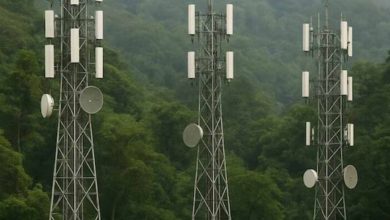 नक्सल प्रभावित इलाकों में पहुंचा 4G नेटवर्क, सुरक्षा बलों की निगरानी में 31 टावर लगाए गए