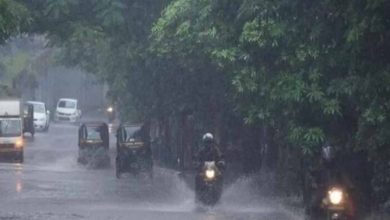बारिश का महासंकट: 30 जुलाई से 3 अगस्त तक भीषण वर्षा का हाई अलर्ट