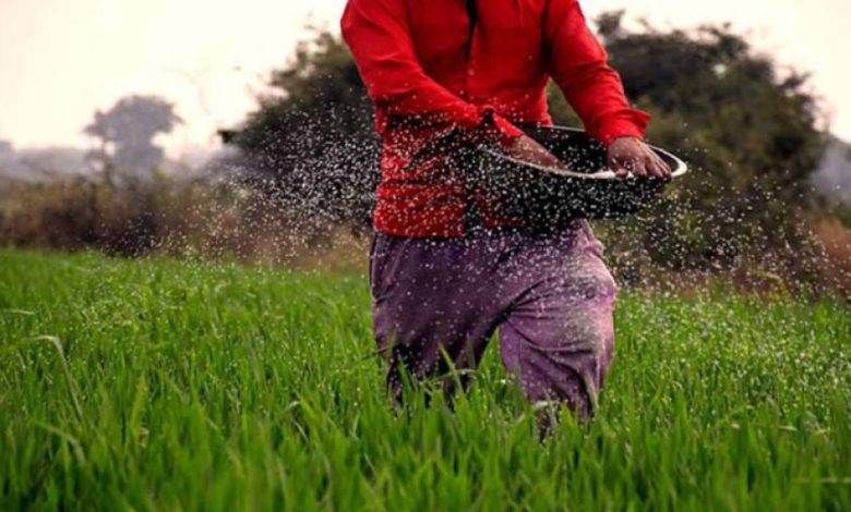 पीएम किसान योजना: 20वीं किस्त कब आएगी? जानें ई-केवाईसी की प्रक्रिया पीएम किसान योजना: 20वीं किस्त कब आएगी? जानें ई-केवाईसी की प्रक्रिया