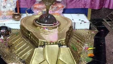 छत्तीसगढ़ का चमत्कारी शिवधाम: नरहरेश्वर महादेव के दर्शन से पूरी होती है हर मनोकामना
