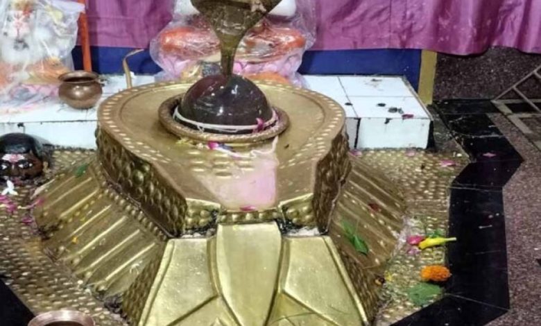 छत्तीसगढ़ का चमत्कारी शिवधाम: नरहरेश्वर महादेव के दर्शन से पूरी होती है हर मनोकामना छत्तीसगढ़ का चमत्कारी शिवधाम: नरहरेश्वर महादेव के दर्शन से पूरी होती है हर मनोकामना