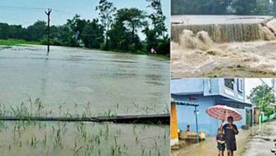 मध्य प्रदेश के कई जिलों में भारी बारिश का अलर्ट, जनजीवन अस्त-व्यस्त