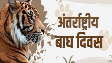 मुख्यमंत्री डॉ. यादव मंगलवार को अंतर्राष्ट्रीय बाघ दिवस पर राज्य स्तरीय कार्यक्रम में होंगे शामिल