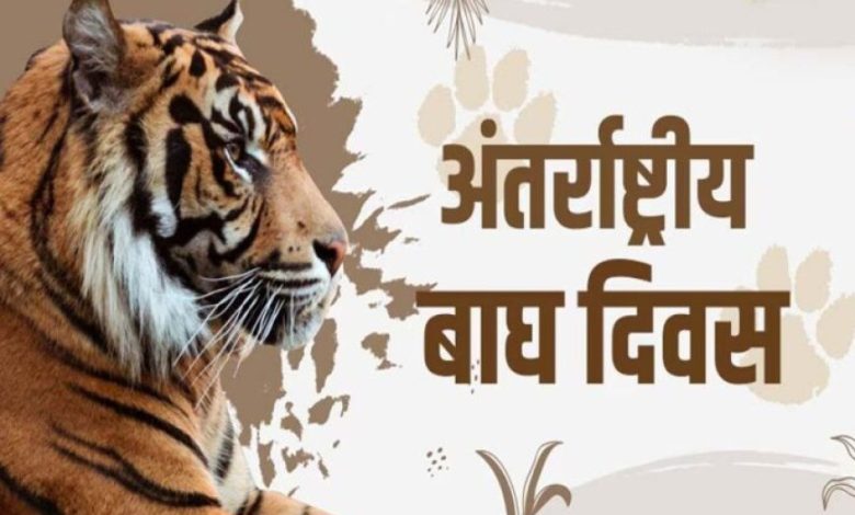 मुख्यमंत्री डॉ. यादव मंगलवार को अंतर्राष्ट्रीय बाघ दिवस पर राज्य स्तरीय कार्यक्रम में होंगे शामिल मुख्यमंत्री डॉ. यादव मंगलवार को अंतर्राष्ट्रीय बाघ दिवस पर राज्य स्तरीय कार्यक्रम में होंगे शामिल
