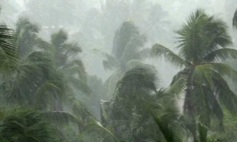 अभी नहीं थमेगी बारिश! अगस्त-सितंबर में भी झमाझम के आसार, जानें किस क्षेत्र में कितना पानी अभी नहीं थमेगी बारिश! अगस्त-सितंबर में भी झमाझम के आसार, जानें किस क्षेत्र में कितना पानी
