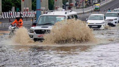 एमपी में फिर लौटेगा मानसून का तेवर, 3-4 अगस्त को भारी बारिश का अलर्ट; भोपाल-इंदौर में आज भी बूंदाबांदी