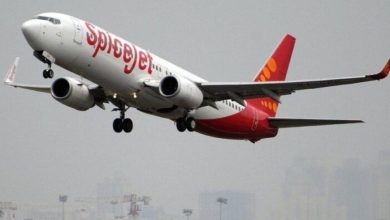 स्पाइसजेट के चार कर्मचारियों पर यात्री का बर्बर हमला, एक की रीढ़ की हड्डी टूटी: एयरलाइन का दावा