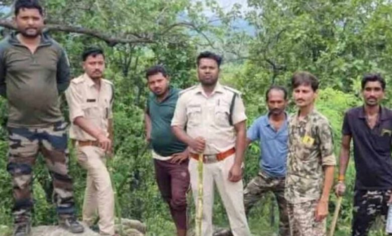 हाथियों के बाद अब बाघ का साया : जंगल में मिले पैरों के निशान, गांवों में अलर्ट हाथियों के बाद अब बाघ का साया : जंगल में मिले पैरों के निशान, गांवों में अलर्ट