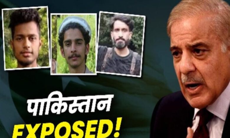 ऑपरेशन महादेव में ढेर हुए तीनों आतंकी पाकिस्तानी, जेब से निकली वोटर स्लिप और ID – कहां के थे मतदाता? ऑपरेशन महादेव में ढेर हुए तीनों आतंकी पाकिस्तानी, जेब से निकली वोटर स्लिप और ID – कहां के थे मतदाता?