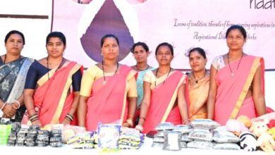 रायपुर : बकरी पालन से आत्मनिर्भरता की मिसाल बनी जय बड़ादेव महिला समूह