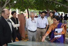 Save Medicinal Plants Now or Risk Our Future, Stresses National Medicinal Plants Board CEO