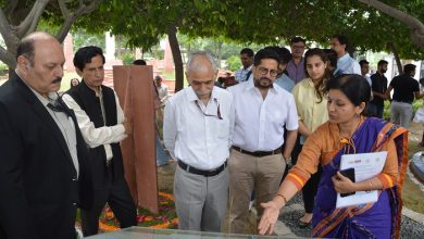 Save Medicinal Plants Now or Risk Our Future, Stresses National Medicinal Plants Board CEO