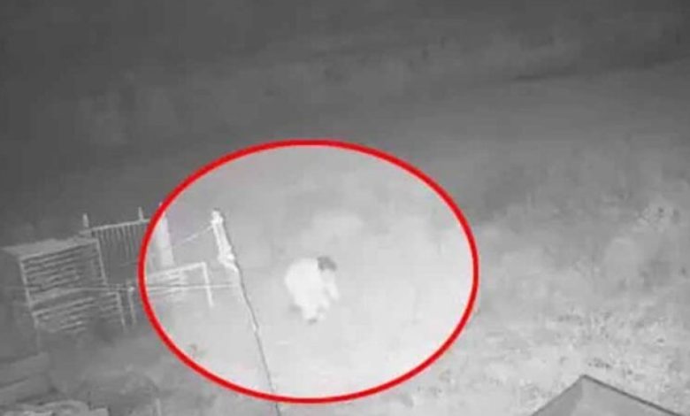 पूर्व डिप्टी CM टीएस सिंहदेव के घर में सेंधमारी, जांच में जुटी पुलिस पूर्व डिप्टी CM टीएस सिंहदेव के घर में सेंधमारी, जांच में जुटी पुलिस