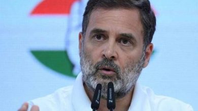 वोट चोरी के आरोपों के बीच कांग्रेस की सबसे ज्यादा सीटें, राहुल गांधी पर केंद्रीय मंत्री का जवाब
