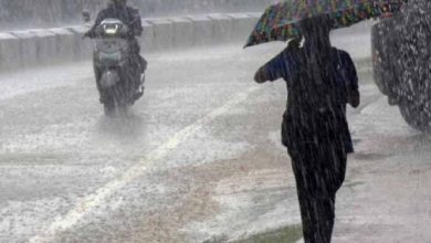 MP के 22 जिलों में दो दिन बरसेंगे मेघ, 13 अगस्त से फिर होगी झमाझम बारिश