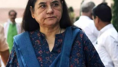 आवारा कुत्तों पर SC के आदेश से नाराज मेनका गांधी, बोलीं- गुस्से में लिया गया फैसला