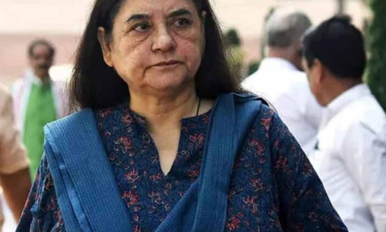 आवारा कुत्तों पर SC के आदेश से नाराज मेनका गांधी, बोलीं- गुस्से में लिया गया फैसला