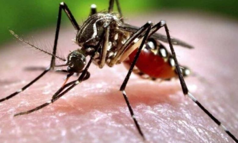 एमपी में खतरनाक वायरस की वापसी, डिंडोरी में बच्चे की मौत से मचा हड़कंप