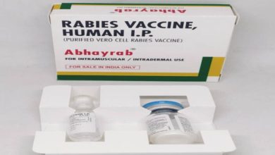 रायपुर : बस्तर संभाग में एंटी रेबीज वैक्सीन की पर्याप्त उपलब्धता