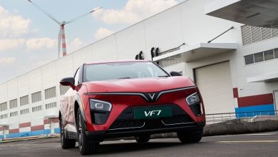 After Factory Inauguration, VinFast Moves to Accelerate Into India