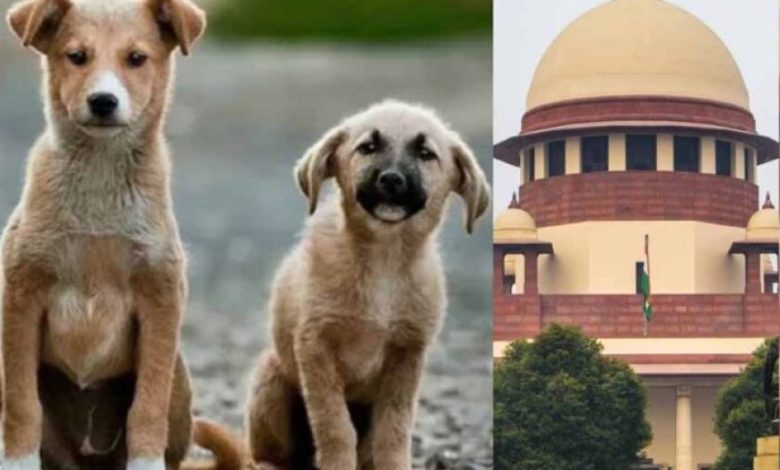 दिल्ली-NCR में कुत्तों से जुड़ा मामला अब CJI की निगरानी में