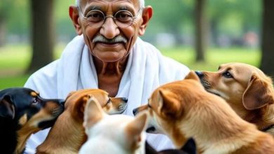 जब 60 पागल कुत्तों को मारने पर गांधीजी ने दी थी सहमति, जानें क्या था तर्क