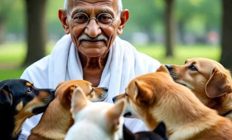 जब 60 पागल कुत्तों को मारने पर गांधीजी ने दी थी सहमति, जानें क्या था तर्क
