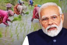 किसानों ने सराहा PM मोदी का निर्णय, कृषि बाज़ार बचाने के लिए धन्यवाद