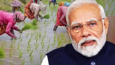 किसानों ने सराहा PM मोदी का निर्णय, कृषि बाज़ार बचाने के लिए धन्यवाद