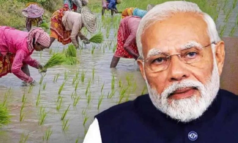 किसानों ने सराहा PM मोदी का निर्णय, कृषि बाज़ार बचाने के लिए धन्यवाद