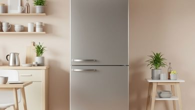 Why a 5 Star Refrigerator Tops the Independence Day Sale List