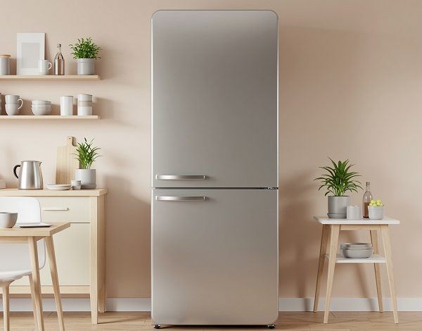 Why a 5 Star Refrigerator Tops the Independence Day Sale List Why a 5 Star Refrigerator Tops the Independence Day Sale List
