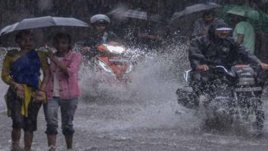 Indore News:झमाझम बारिश से मौसम सुहाना, अगले चार दिन भारी बारिश का अलर्ट