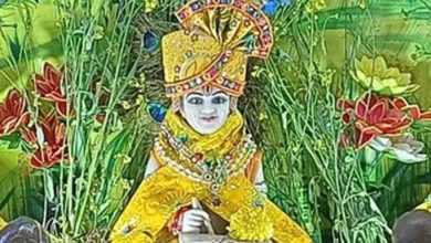 उज्जैन में जन्माष्टमी की रौनक, सांदीपनि आश्रम से इस्कॉन मंदिर तक गूंजे कान्हा के भजन