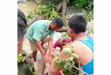 वाटरफॉल में दर्दनाक हादसा: घूमने आए युवक की पैर फिसलने से मौत