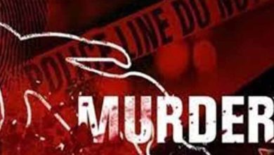 डिंडौरी: जलेगांव में महिला की धारदार हथियार से हत्या, घर में अकेली थी पीड़िता