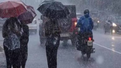 कम दबाव का क्षेत्र सक्रिय, तीन राज्यों में अगले सात दिन झमाझम बारिश का अलर्ट