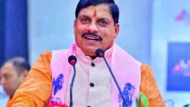 मुख्यमंत्री डॉ. यादव के विदेशी निवेश संवर्धन के प्रयासों के उत्साहजनक परिणाम