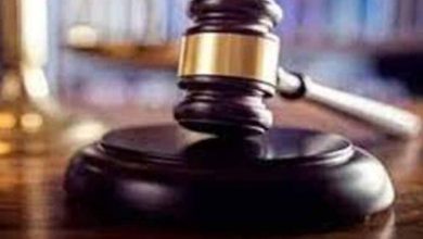 सरकार पर बरसा हाईकोर्ट: आधा आदिवासी जिला एक कंपनी को अलॉट करना मजाक नहीं