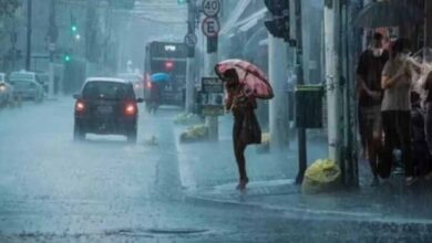 मॉनसून का कहर जारी, भारी बारिश के साथ कई राज्यों में अलर्ट