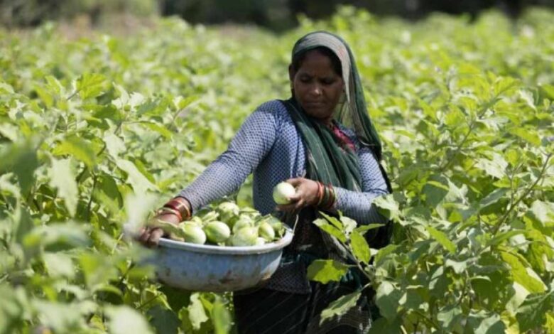 एचडीएफसी बैंक के परिवर्तन अभियान ने मध्य प्रदेश में 63 लाख से ज़्यादा लोगों के जीवन को प्रभावित किया एचडीएफसी बैंक के परिवर्तन अभियान ने मध्य प्रदेश में 63 लाख से ज़्यादा लोगों के जीवन को प्रभावित किया
