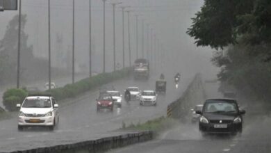 MP मौसम अलर्ट: जबलपुर-रतलाम समेत 23 जिलों में भारी बारिश की चेतावनी, तवा डैम के 5 गेट खोले