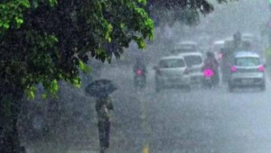 IMD का अलर्ट: 14 जिलों में 96 घंटे में मूसलाधार बारिश, स्ट्रांग सिस्टम बनेगा