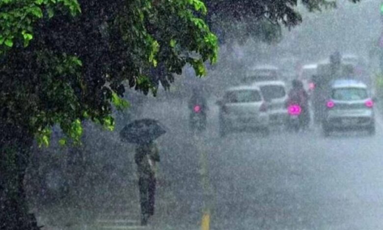 IMD का अलर्ट: 14 जिलों में 96 घंटे में मूसलाधार बारिश, स्ट्रांग सिस्टम बनेगा IMD का अलर्ट: 14 जिलों में 96 घंटे में मूसलाधार बारिश, स्ट्रांग सिस्टम बनेगा