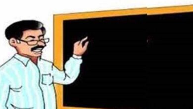 टी संवर्ग प्राचार्यों की पोस्टिंग काउंसलिंग 20 अगस्त से शुरू