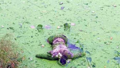 Muzaffarnagar में तालाब से मिला युवक का रहस्यमयी शव, इलाके में सनसनी – पुलिस जांच में जुटी